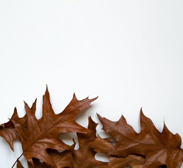 DIY: Make your own Autumns Leave Garland